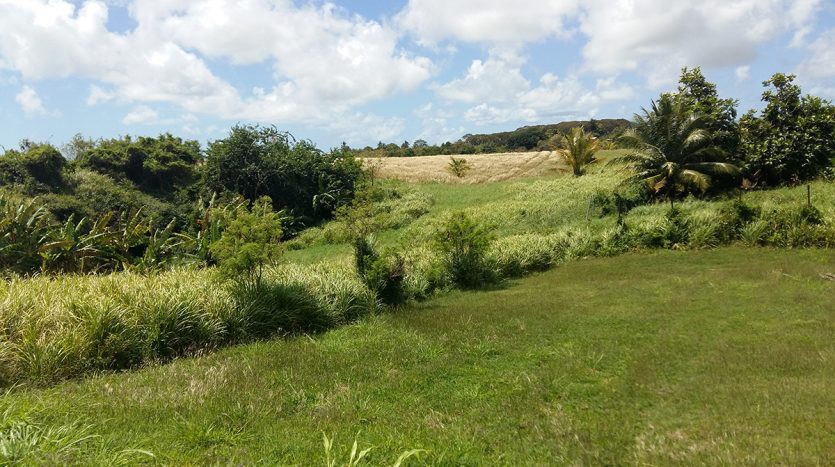 For Sale - 3 Bedroom 1 Bathroom Unfurnished House