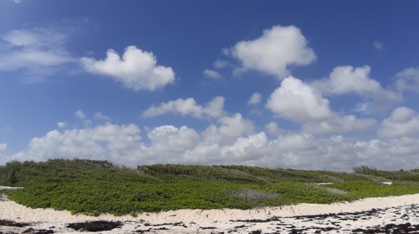 House for Sale Chancery Lane Christ Church Barbados